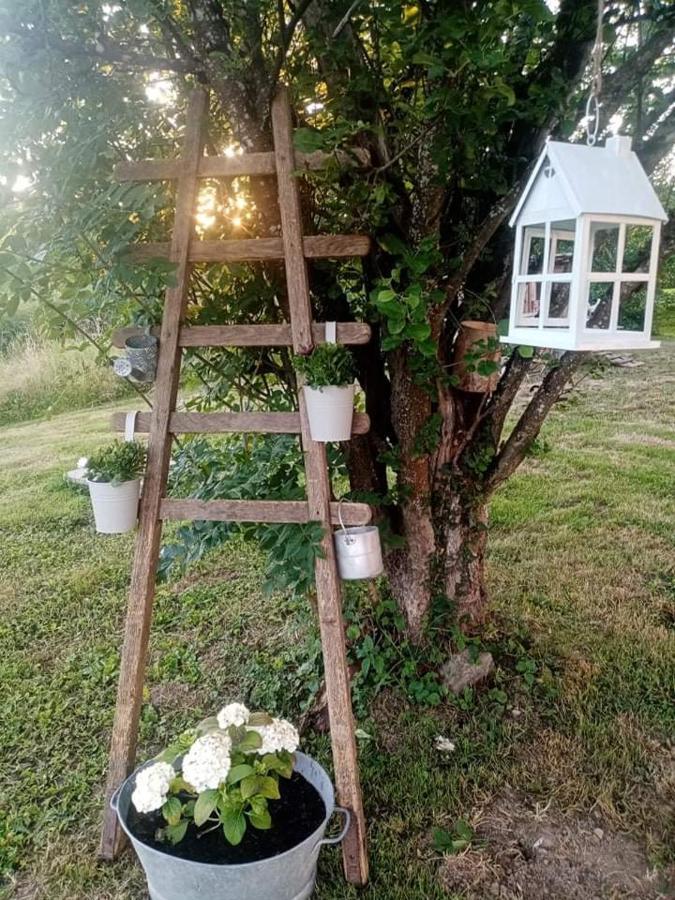 Gite Ferme La Rosee Blanche Ban-de-Laveline Exterior photo